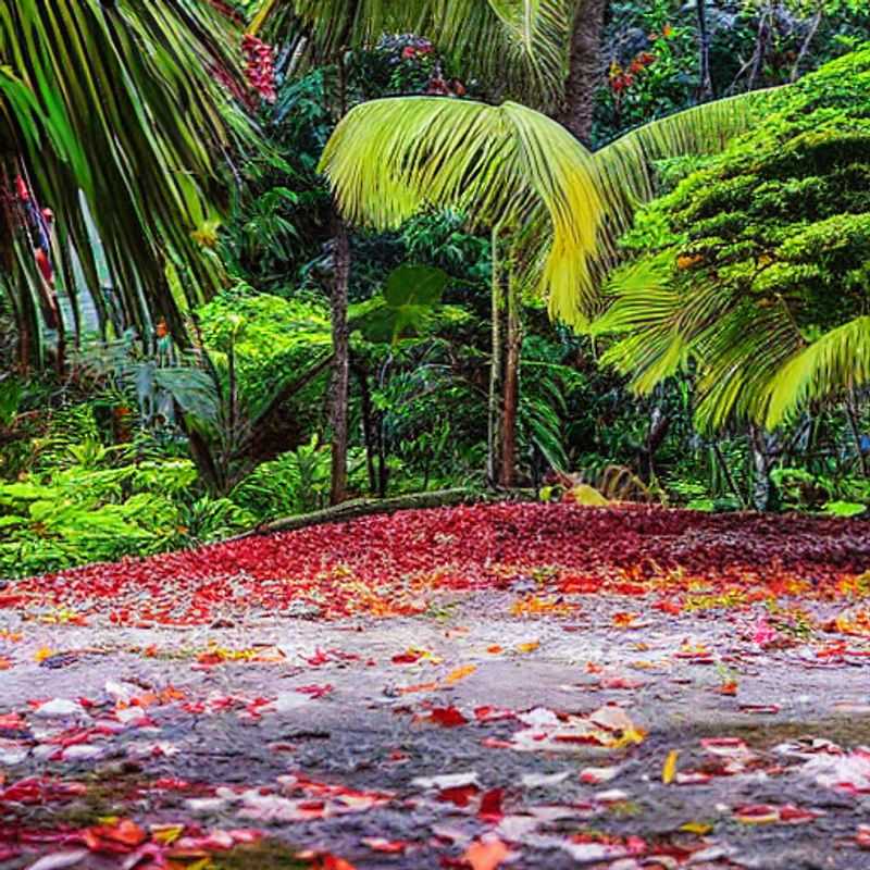 Seychelles in the Shoulder Season&#58; Botanical Bliss &#38; Fewer Crowds!<h3>Escape the Summer Rush&#58; Seychelles' Botanical Gardens in the Off&#45;Season</h3><h3>Sun&#44; Serenity&#44; and Shorter Lines&#58; Your Seychelles Botanical Garden Adventure</h3><h3>Beyond the Beaches&#58; Discovering Seychelles' Botanical Treasures (Shoulder Season Special!)</h3><h3>Seychelles' Secret&#58; Botanical Gardens in the Sweet Spot Between Seasons</h3><h3>A Botanical Journey Through Seychelles&#58; Avoiding the Summer Sizzle</h3><h3>Is Seychelles' National Botanical Garden a Summer Holiday Gem? (Hint&#58; YES&#44; but maybe not *peak* summer!)</h3>