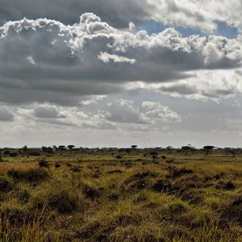 Nairobi en été : Automne surprise et mystères du parc national !<h3>Safari d'été à Nairobi : Couleurs automnales et légendes ancestrales (Conseils de sécurité inclus)</h3><h3>Le Parc National de Nairobi en été : Au-delà des lions, une palette automnale et des secrets à déchiffrer</h3><h3>Mystères et paysages d'automne à Nairobi : Un été inattendu au cœur du Kenya (Guide de survie pour le voyageur avisé)</h3><h3>Nairobi sous le soleil estival : Feuilles d'automne, mystères historiques et aventures palpitantes</h3>