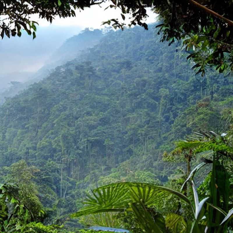 Bwindi Impénétrable : Paradis estival ou légende sur les réseaux sociaux ?<h3>Bwindi en été : Réalité vs. réputation en ligne - Avis d'une experte</h3><h3>Vacances d'été à Bwindi : Ce que disent les réseaux sociaux... et ce que je pense !</h3><h3>Séjour estival à Bwindi : Déjouez les mythes et découvrez la vérité !</h3><h3>Bwindi Impénétrable : L'été, une bonne idée ? Mon expérience et les conseils pour un voyage sûr</h3><h3>La forêt impénétrable de Bwindi en été : Réputation en ligne et réalité sur le terrain</h3><h3>Bwindi l'été : Au-delà des réseaux sociaux, une aventure authentique vous attend !</h3><h3>Explorer Bwindi en toute sécurité cet été : Conseils pratiques et témoignages</h3>