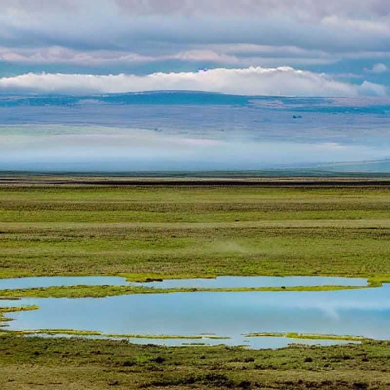 Sol&#44; Chuva ou Neve em Nakuru? Planeje sua Escapada de Verão com Sabedoria!<h3>Nakuru no Verão&#58; Um Paraíso sob o Sol (ou sob a Chuva?)</h3><h3>Safari de Verão em Nakuru&#58;  Dicas para um Roteiro Incrível&#44; Independente do Clima</h3><h3>O Lago Nakuru no Verão&#58; Beleza Selvagem e Previsões do Tempo</h3><h3>Aventura em Nakuru&#58; Como o Clima Pode Influenciar Seu Safari de Verão (e como aproveitá&#45;lo ao máximo!)</h3><h3>Meu Diário de Viagem&#58; Nakuru no Verão &#45; Sol&#44; Chuva e Aventuras Inesquecíveis!</h3><h3>Desvendando Nakuru&#58; Um guia para o viajante sofisticado que busca o equilíbrio entre aventura e conforto&#44; mesmo com chuva.</h3><h3>Prepare&#45;se para a Aventura&#58;  Dicas Essenciais para um Safari em Nakuru no Verão (e como lidar com surpresas climáticas)</h3>
