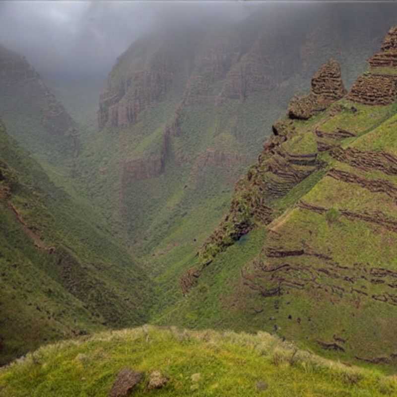 ¿Simien Mountains en verano? ¡Gelato y frutas exóticas, sí, pero prepárate para la aventura!<h3>Simien Mountains: ¡Frutas de temporada y un helado que te refrescará el alma (y quizás un misterio)!</h3><h3>¡El misterio de las frutas de Simien y un verano helado! ¿Es buena idea visitar el Parque Nacional en verano?</h3><h3>Simien Mountains: ¿Verano, calor y...gelato? Descubriendo los secretos estacionales del Parque y cómo sobrevivir al calor.</h3><h3>Frutas, mitos y montañas: Una guía para un verano épico (y seguro) en Simien Mountains.</h3><h3>Simien Mountains: Más allá del gelato, leyendas y la verdad sobre los mejores meses para visitar.</h3>