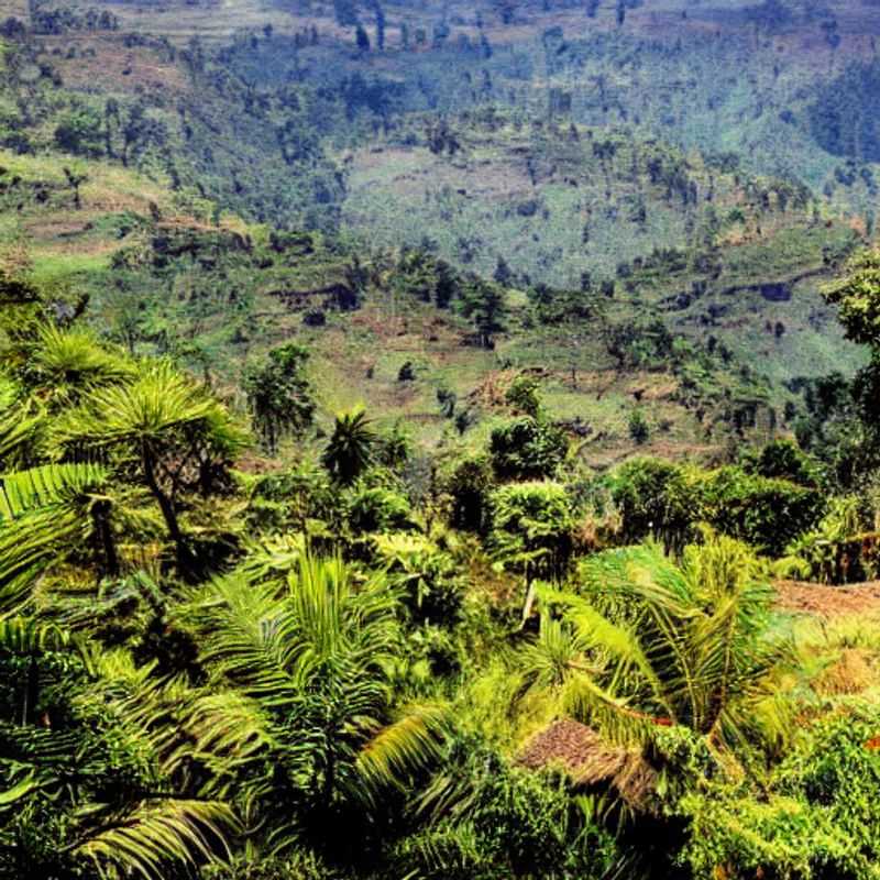 Mount Elgon's Romantic Hideaways&#58; Top 4 Luxury Locations for Instagram&#45;Worthy Adventures!