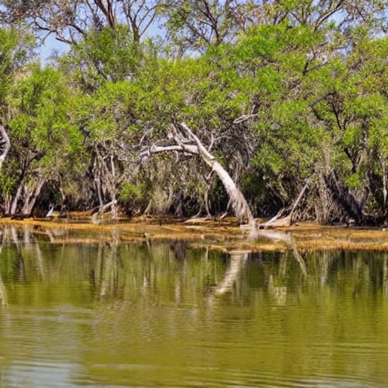 Unmasking the Okavango: More Than Just Pretty Photos (And How Not to Get Eaten by a Hippo)<h3>Okavango Delta: Where Myths Meet Mother Nature (and Your Sunscreen)</h3><h3>Botswana's Okavango Delta: Solving the Mystery of its Miraculous Waters (and Packing Your Mosquito Net)</h3><h3>Beyond the Beauty: Unearthing the Secrets of the Okavango Delta (Safely, of Course!)</h3><h3>The Okavango Enigma: A Travelogue of Legends, Lost Cities, and the Best Safari Spots (Without the Tourist Traps)</h3><h3>Whispers of the Okavango: A Journey Through History, Folklore, and Fantastic Wildlife (Plus, Practical Tips for the Adventurous Traveler)</h3><h3>Decoding the Delta: A Guide to the Okavango's Wonders, Wild Animals, and Wise Travel Choices</h3><h3>Okavango Delta: More Than Just a Pretty Picture – A Guide to Responsible and Rewarding Exploration</h3>