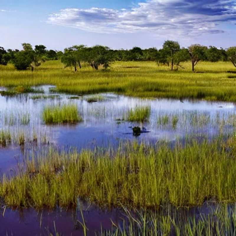 Okavango's Whispers: Choosing Your Delta Adventure - Quiet Contemplation or Lively Exploration?<h3>Unmasking the Okavango: A Detective's Guide to Delta Delights (Quiet vs. Bustling)</h3><h3>The Okavango Enigma: Decoding the Delta's Dual Personalities (Serene vs. Spirited)</h3><h3>Okavango Delta: Myth, Mystery, and Mood – Finding Your Perfect Pace</h3><h3>Whispering Waters & Roaring Laughter: Your Okavango Adventure Awaits (Quiet or Lively?)</h3><h3>Safari Style: Choosing Your Okavango Vibe – Tranquil Escape or Thrilling Expedition</h3><h3>Shadows & Sunsets: The Okavango Delta's Two Sides – Which Adventure is Right for You?</h3><h3>Beyond the Big Five: Uncovering the Okavango's Hidden Charms (Peaceful or Party?)</h3><h3>Ancient Secrets & Modern Marvels: Your Okavango Journey (Serene or Vibrant?)</h3><h3>From Legend to Lagoon: Planning Your Okavango Delta Adventure (Quiet or Lively?) – Tips for Safe Travel Included!</h3>