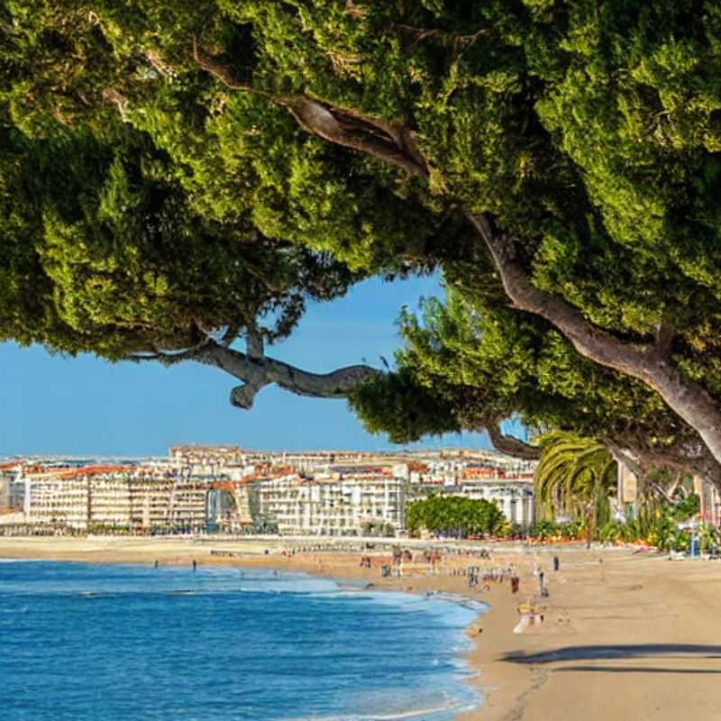 Montpellier au Printemps : Une Symphonie de Couleurs et de Culture !<h3>Capitale du Soleil : Explorez le Vibrant Été Montpelliérain !</h3><h3>Printemps à Montpellier : Laissez-vous Séduire par son Charme !</h3><h3>Escapade printanière à Montpellier : Soleil, Culture et Découverte !</h3><h3>Montpellier ensoleillé : Votre Spring Break Rêvé !</h3><h3>Les Trésors Cachés de Montpellier : Une Exploration Inoubliable !</h3><h3>Montpellier : Un Été Magique à Partager !</h3><h3>Découverte de Montpellier : Un Voyage Sensuel au Cœur de la France !</h3><h3>L'Été Montpelliérain : Un Cocktail de Festivités et de Délices !</h3><h3>Au Cœur de Montpellier : L'Expérience Inoubliable de votre Spring Break !</h3>