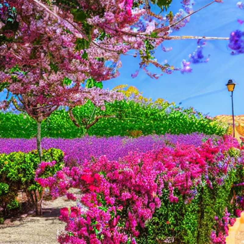 ¡Murcia en Primavera&#58; ¡Sol&#44; Senderismo y Aguas Cristalinas! ¿El Destino Perfecto para tus Vacaciones?<h3>Murcia y la Primavera&#58; Aventuras al Aire Libre para un Spring Break Inolvidable</h3><h3>Más Allá de las Playas&#58; Descubriendo la Naturaleza Murciana en tus Vacaciones de Primavera</h3><h3>Senderismo&#44; Deportes Acuáticos y... ¡Sorpresas! ¿Qué te Reservará Murcia en tu Spring Break?</h3><h3>Murcia&#58; Un Spring Break con Encanto&#44; Historia... ¡y Mucha Aventura!</h3><h3>¿Spring Break en Murcia? ¡Prepárate para la Aventura!</h3><h3>El Secreto Mejor Guardado de España&#58; ¡Murcia te Espera para tu Spring Break!</h3><h3>Aventura y Relax en Murcia&#58; ¡Tu Spring Break Ideal!</h3><h3>De la Montaña al Mar&#58; Aventuras Murcianas en Primavera</h3><h3>¡Descubre la Magia de Murcia! Un Spring Break para el Recuerdo</h3>