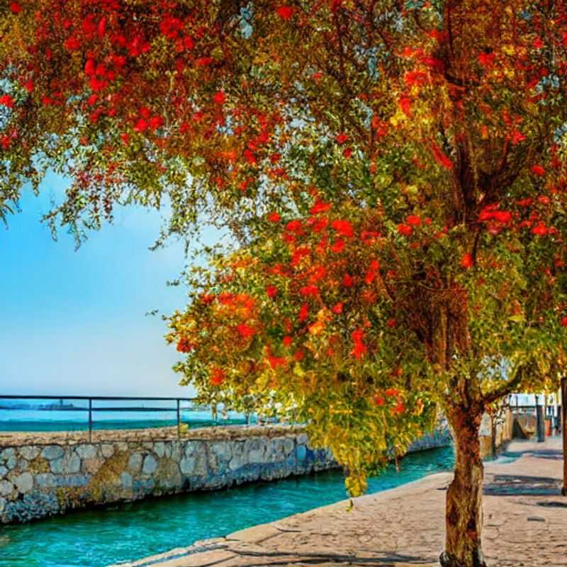 Moins de monde, plus d'intimité : Explorez Larnaca au printemps !<h3>Larnaca au printemps : Échappez aux foules et découvrez l'âme de Chypre</h3><h3>Chypre au printemps : Des expériences plus authentiques à Larnaca, loin des sentiers battus</h3><h3>Larnaca ensoleillée : Des vacances printanières inoubliables hors des sentiers touristiques</h3><h3>Secrets de Larnaca : Explorez Chypre au printemps, en toute tranquillité</h3><h3>Le printemps à Larnaca : Une escapade chypriote riche en rencontres et en découvertes</h3>