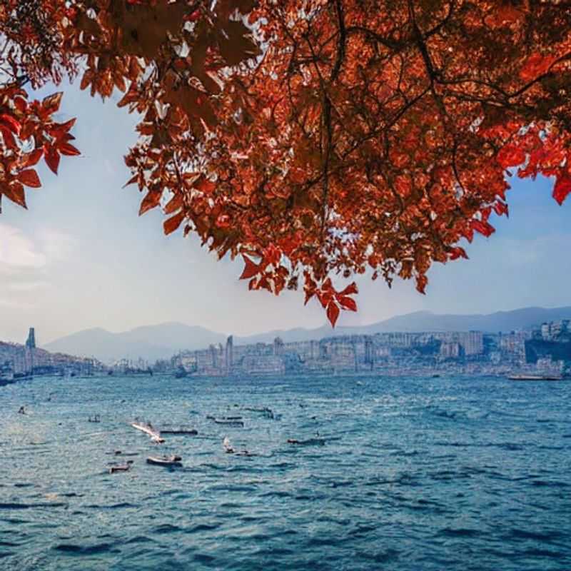 Genoa in Spring: A Breath of Fresh Air & Hidden Gems Await!<h3>Spring in Genoa: Perfect Weather for Exploring the City's Outdoor Wonders</h3><h3>Genoa's Spring Awakening: A Traveler's Delight</h3><h3>Sun-Kissed Streets & Springtime Delights: Your Genoa Spring Break Adventure</h3><h3>Beyond the Tourist Trail: Discovering Springtime Genoa</h3><h3>Spring Break in Genoa: A Gentle Italian Escape</h3><h3>Genoa in Spring: Warm Days, Cool Discoveries</h3><h3>Italy's Secret Springtime Gem: Unveiling the Charm of Genoa</h3><h3>Genoa Spring Break: A Relaxed Italian Itinerary</h3>