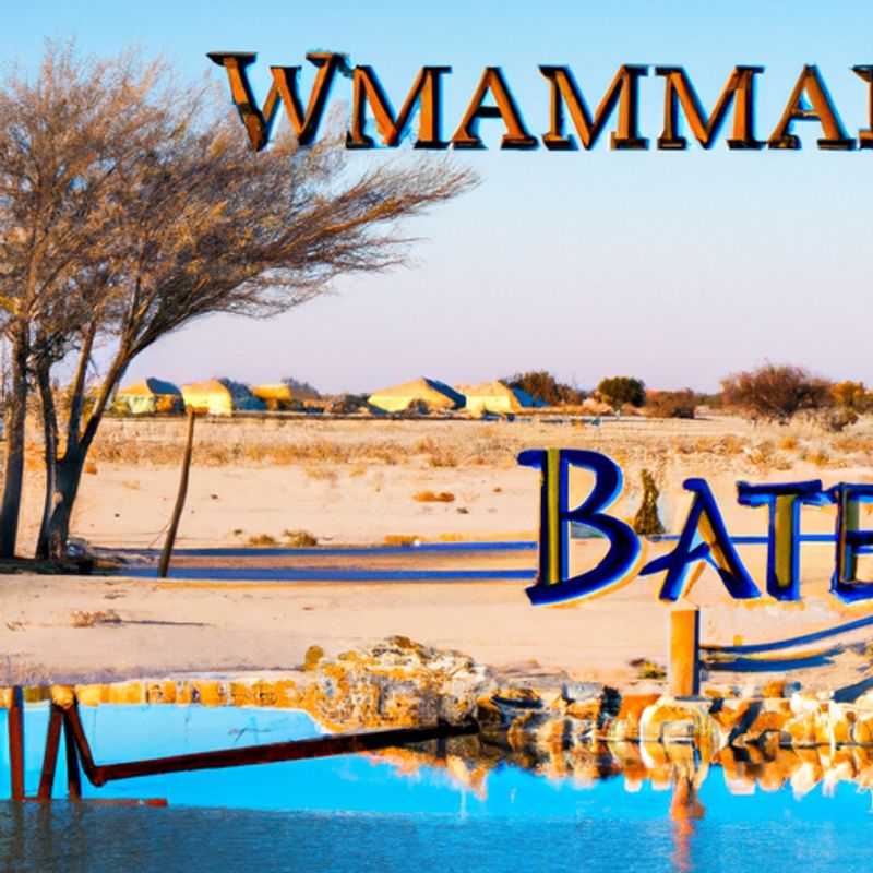 Etosha National Park Adventure: Top 5 Experiences for a 24-Hour Solo Trip