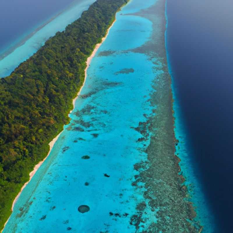 Mergulho com snorkel no Atol Baa nas Maldivas: Um Paraíso Subaquático