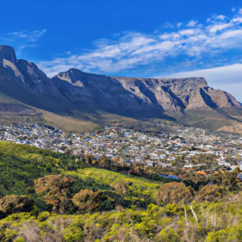 Dois casais desfrutando da beleza estonteante da Table Mountain, cercada por águas azuis cristalinas, durante sua viagem de 3 semanas à Cidade do Cabo, África do Sul, na primavera.