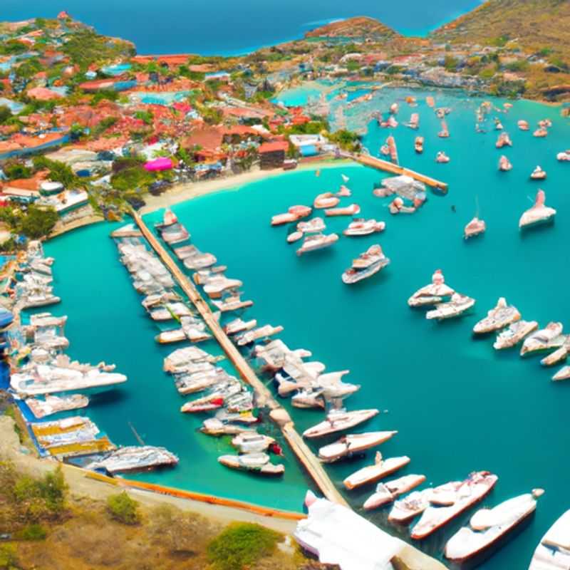 Praia de Shell: Um paraíso caribenho na primavera em St. Barts