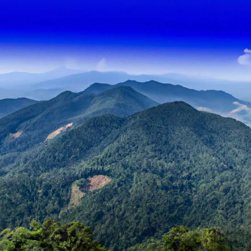 Explorar o Parque Natural de Elefantes de Chiang Mai: Uma Jornada Épica na Terra dos Gigantes Gentis