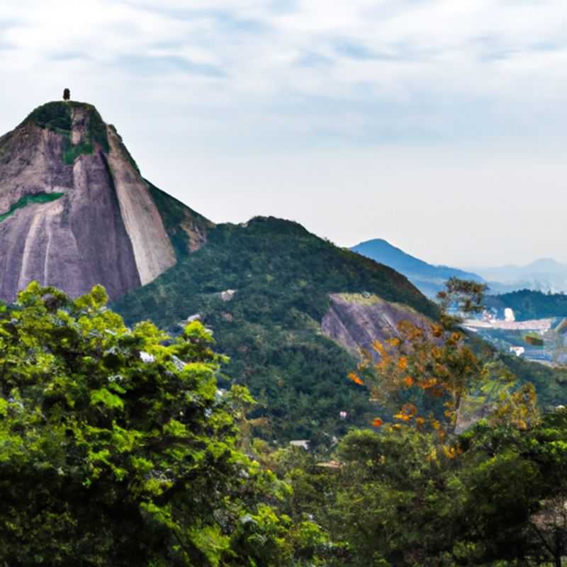 Jardim Botânico em Primavera: Um passeio encantado pelas cores e aromas do Rio