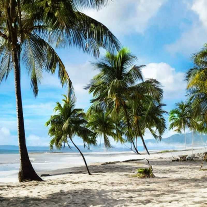 Deux couples profitant de la beauté exotique de Puerto Viejo, Costa Rica, un paradis tropical pour des vacances d'été luxueuses.