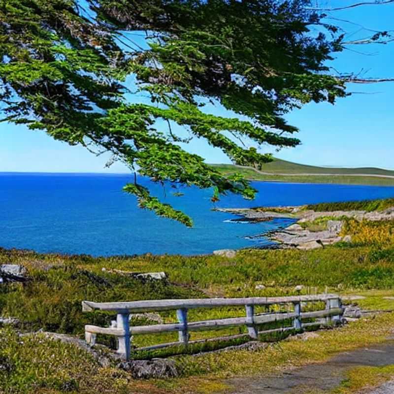 Dégustation de vins et mystères acadiens : Le Cap-Breton, havre de luxe estival ?<h3>Cap-Breton, Canada : Paradis estival luxueux ou légende enfumée ?</h3><h3>Sous le ciel étoilé du Cap-Breton : Mythes, vins et vacances de luxe</h3><h3>L'élixir du Cap-Breton : Une escapade estivale luxueuse entre histoire et dégustation</h3><h3>Le Cap-Breton : Mystère et luxe estival au pays des légendes</h3><h3>Vacances de luxe au Cap-Breton : Entre dégustation de vins et exploration historique</h3>
