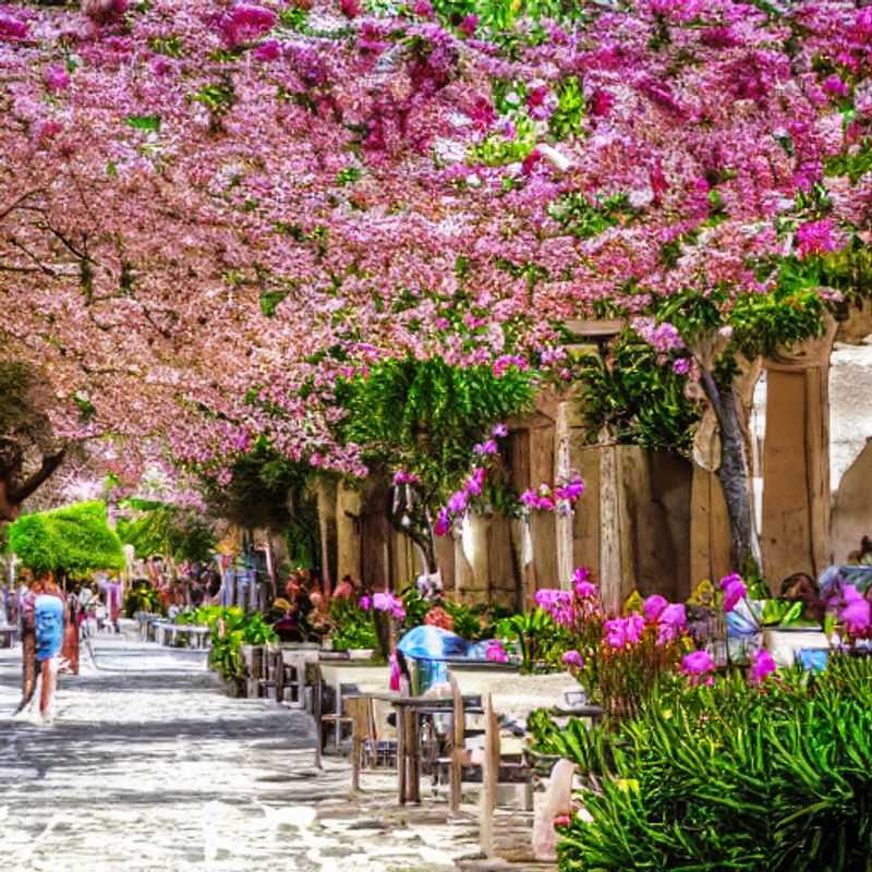 Athens in Spring&#58; A Secret Garden of Ancient Wonders (Fewer Crowds&#44; More Magic!)<h3>Springtime in Athens&#58; Unveiling the Acropolis Without the Wait</h3><h3>Escape the Spring Break Rush&#58; Athens&#44; a Jewel Undiscovered</h3><h3>Beyond the Tourist Trail&#58; Athens in Spring – A Personal Journey</h3><h3>Athens' Springtime Serenade&#58; Fewer Crowds&#44; More Authentic Charm</h3><h3>My Athenian Spring&#58; A Romantic Escape for the Discerning Traveler</h3>