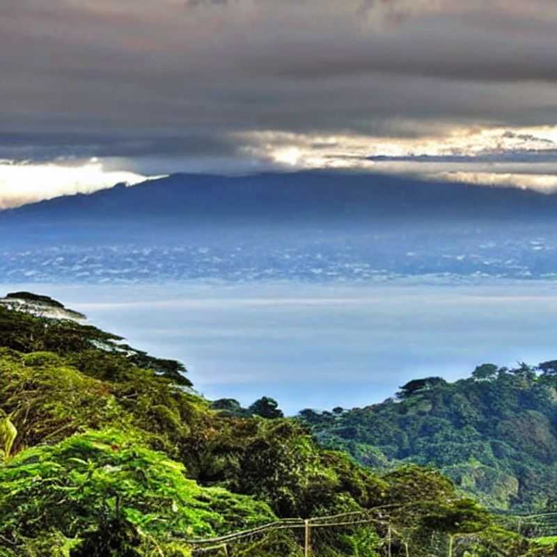 Monteverde's Emerald Embrace: A Luxury Summer Escape? (Spoiler: Yes!)<h3>Unmasking Monteverde: Luxury, Legends, and Lost Treasures of Costa Rica</h3><h3>Cloud Forests & Cocktails: Is Monteverde the Ultimate Luxury Summer Getaway?</h3><h3>Beyond the Canopy: A Luxurious Investigation into Monteverde's Mysteries</h3><h3>Monteverde: Where Science, Storytelling, and Sumptuous Stays Converge</h3><h3>Decoding Monteverde: A High-End Adventure for the Discerning Traveler</h3><h3>From Ziplines to Zinfandel: A Luxurious Costa Rican Summer in Monteverde</h3><h3>Monteverde's Million-Dollar Views (and Equally Impressive Experiences)</h3><h3>The Monteverde Enigma: Unveiling Luxury in Costa Rica's Cloud Forest</h3><h3>A Connoisseur's Guide to a Luxurious Summer in Monteverde, Costa Rica</h3>
