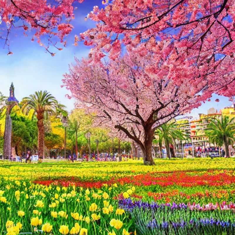 Barcelone au printemps : un climat idéal pour explorer la ville !<h3>Le printemps barcelonais : températures douces et découvertes enchanteuses</h3><h3>Soleil printanier et escapades barcelonaises : mon expérience inoubliable</h3><h3>Explorer Barcelone au printemps : un voyage sensoriel et culturel</h3><h3>Le charme discret du printemps barcelonais : une invitation au voyage</h3><h3>Barcelone ensoleillée : le printemps, saison idéale pour un séjour luxueux</h3><h3>Ma découverte printanière de Barcelone : entre architecture et gastronomie</h3><h3>Le printemps à Barcelone : une symphonie de couleurs et de saveurs</h3><h3>Des températures printanières parfaites pour une escapade à Barcelone</h3><h3>Séjour printanier à Barcelone : un voyage au cœur de la culture catalane</h3>