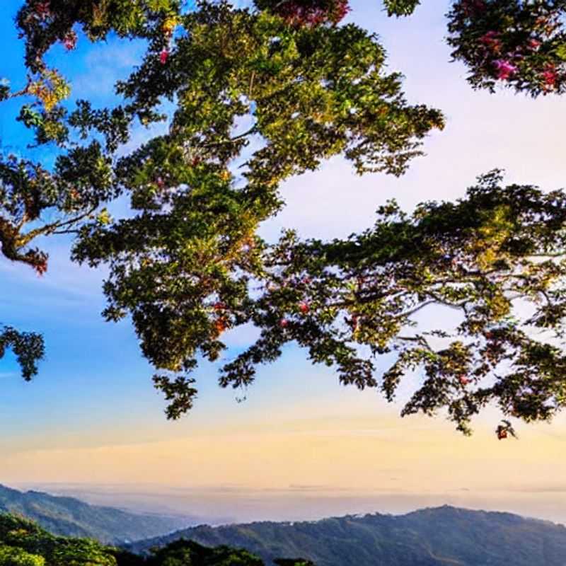 Forêt nuageuse luxuriante de Monteverde, Costa Rica, idéale pour des vacances de printemps.