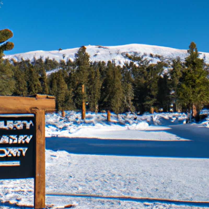 Woolly's Tube Park: A Winter Wonderland Awaits at Mammoth Mountain
