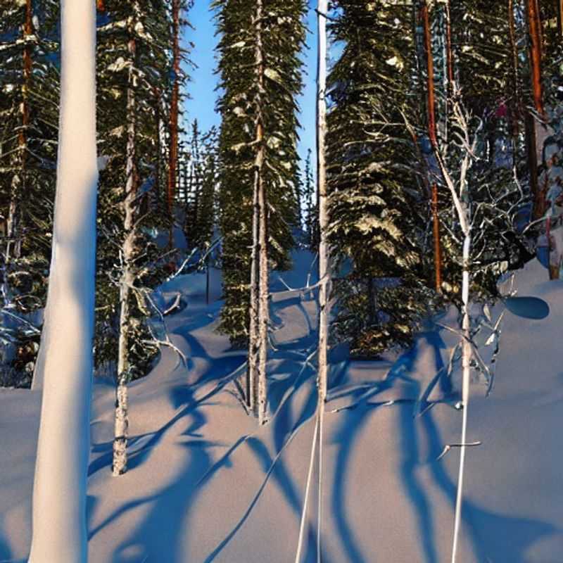 Sun-drenched slopes and vibrant spring skies paint the perfect backdrop for a Ruka, Finland spring break adventure, showcasing the endless possibilities for fun and exploration.