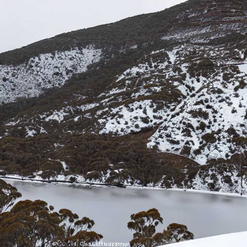 Spring has sprung in Falls Creek! Hiking trails replace ski slopes as vibrant wildflowers paint the landscape for an unforgettable spring break adventure in the Australian Alps.