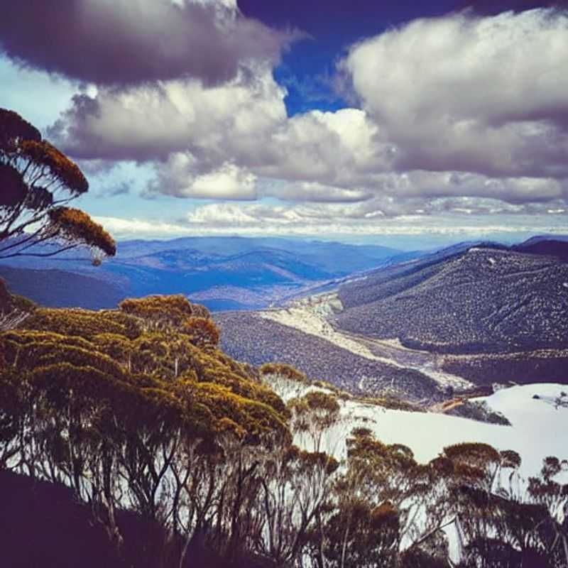 Wi-Fi Gratuito em Mt. Buller: Como se Conectar e Explorar na Primavera<h3>Mt. Buller na Primavera: Aventura e Economia nas Férias</h3><h3>Descubra Mt. Buller na Primavera: A combinação perfeita de aventura e orçamento</h3><h3>Aproveitando ao máximo Mt. Buller na Primavera: dicas para explorar com e sem Wi-Fi</h3><h3>Para além das pistas: experiências autênticas em Mt. Buller durante as férias de primavera</h3><h3>Mt. Buller na Primavera: Evitando as armadilhas turísticas e encontrando a verdadeira essência australiana</h3><h3>Primavera em Mt. Buller: Um guia para viajantes econômicos e conectados</h3><h3>Conectando-se e Desconectando-se em Mt. Buller: Um equilíbrio entre tecnologia e natureza na primavera</h3><h3>Explorando Mt. Buller na Primavera: Conselhos práticos para uma viagem inesquecível e acessível</h3><h3>A Primavera em Mt. Buller: Cultura, história e Wi-Fi - uma combinação surpreendente</h3>