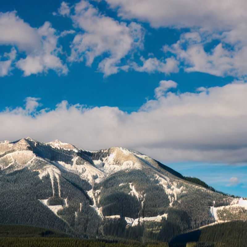 Fuja do Frio: Acomodações Aconchegantes em Fernie Alpine Resort (e além!)<h3>Inverno em Fernie: Museus, Cafés e Muito Mais - Uma Experiência Canadina Acolhedora</h3><h3>Descubra Fernie na Primavera: Atividades para uma Férias Incríveis!</h3><h3>Fernie na Primavera: Para Além das Pistas - Uma Aventura para Todas as Estações</h3><h3>A Primavera em Fernie: Surpreenda-se com a Beleza Discreta da Natureza Canadina</h3><h3>Escapadinhas de Inverno: Aquecendo o Corpo e a Alma em Fernie Alpine Resort</h3>