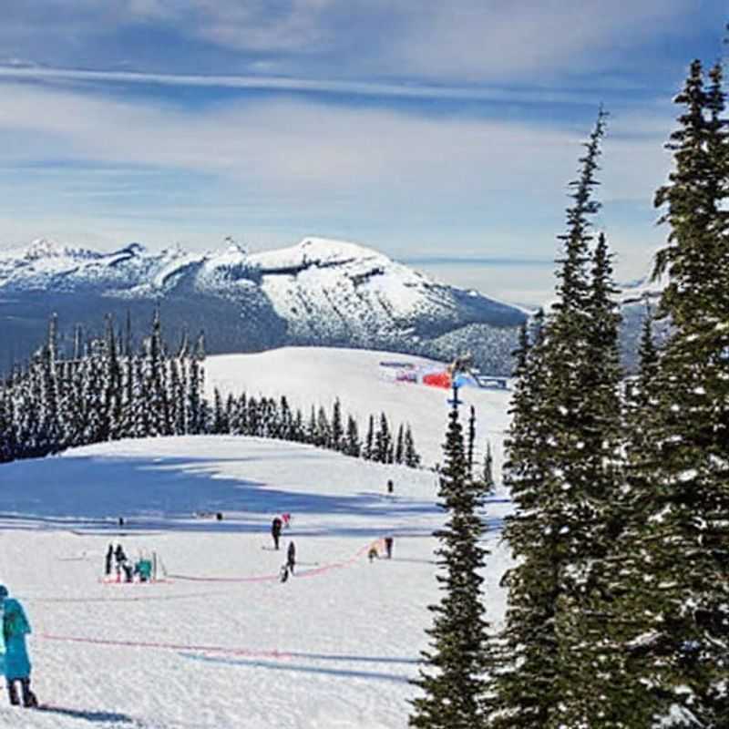 Spring break bliss! Two friends carving through the snowy slopes of Whistler Blackcomb, Canada, enjoying the sun-drenched mountains and endless adventures.