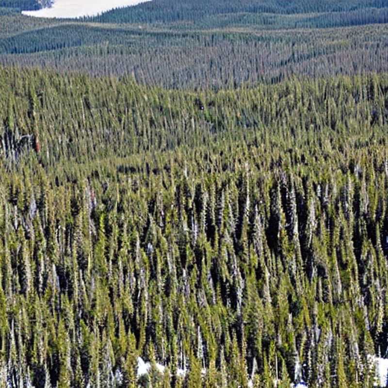 Descubra a Magia da Primavera em Mt. Bachelor: Aventura ao Ar Livre te Espera!<h3>Mt. Bachelor na Primavera: Sol, Neve e Emoções! Um Roteiro para sua Férias Incriveis</h3><h3>Primavera em Mt. Bachelor: Atividades ao Ar Livre para Todas as Idades!</h3><h3>Fuja para Mt. Bachelor: Um Refúgio de Primavera para Recarregar as Energias</h3><h3>A Primavera Chegou em Mt. Bachelor: Um Guia para Aproveitar ao Máximo o Sol e a Neve!</h3><h3>Mt. Bachelor na Sua Melhor Versão: Experiências Incriveis na Primavera!</h3><h3>Aventura e Relaxamento em Mt. Bachelor: Planeje sua Escapadela de Primavera Perfeita</h3><h3>Sol, Neve e Diversão: Descubra o que Mt. Bachelor Reserva para Você na Primavera</h3><h3>Um Guia Completo para sua Viagem de Primavera para Mt. Bachelor</h3><h3>Mt. Bachelor: Um Paraíso para Aventura na Primavera.</h3>