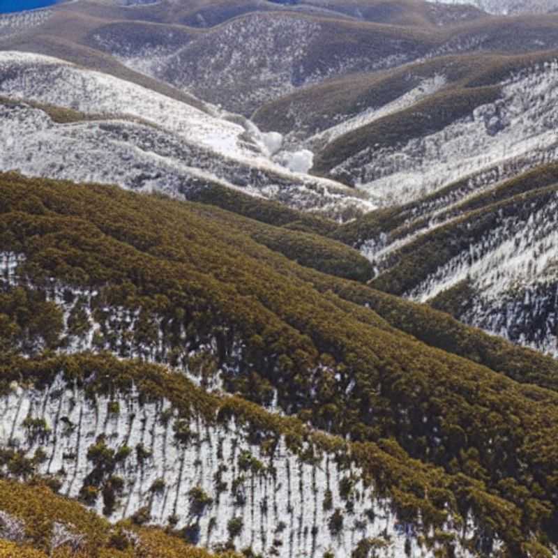 Cenário deslumbrante do Monte Hotham, Austrália, banhado pelo sol da primavera, oferecendo uma variedade de atividades para aproveitar as férias, desde trilhas a paisagens alpinas vibrantes.