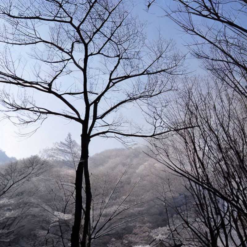 Lush green slopes of Yongpyong in spring, a vibrant contrast to the ski resort's winter persona, offering hiking and scenic beauty during spring break in South Korea.