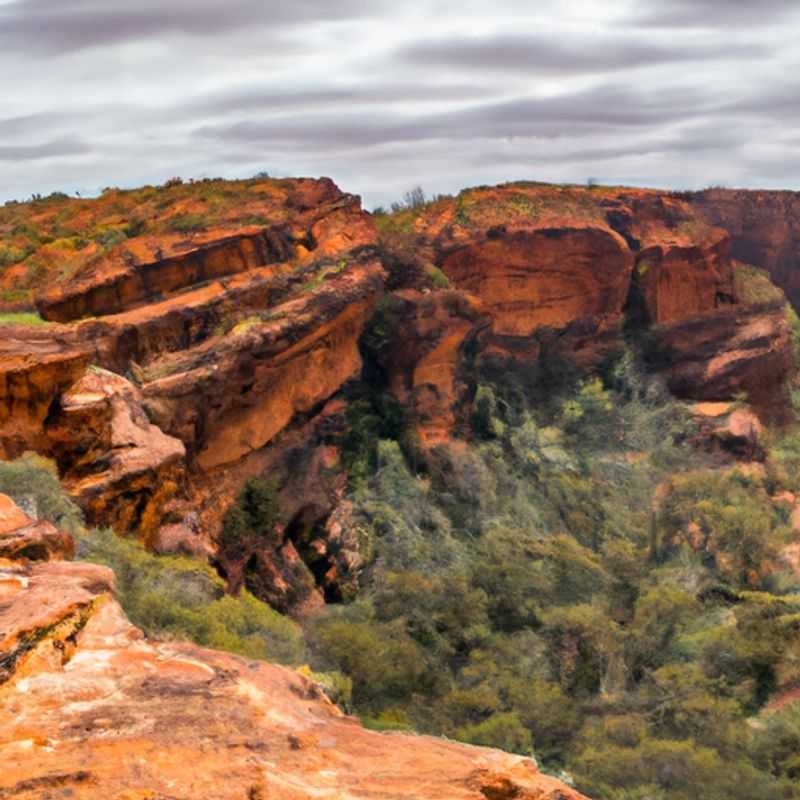 Camping at Kings Creek Station: A Winter-Spring Oasis in Kings Canyon Rim Walk, Australia