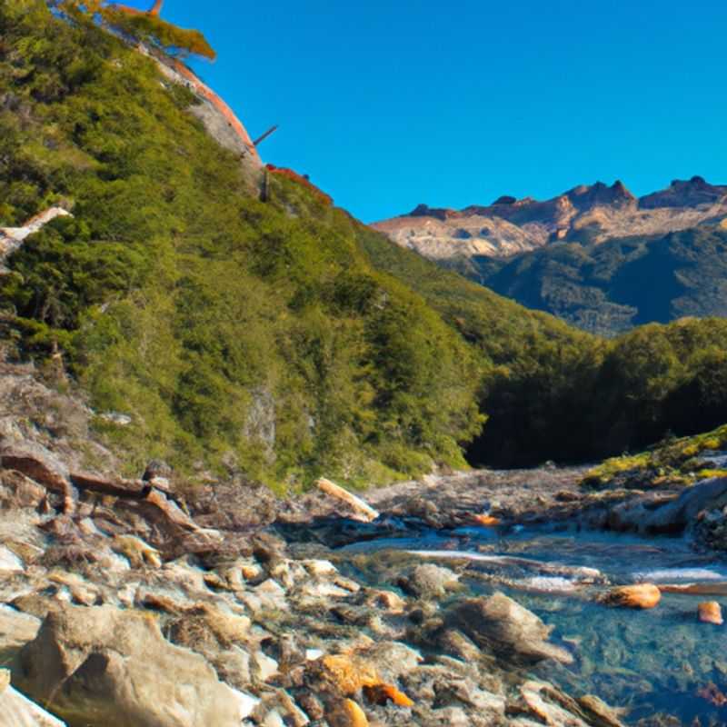Exploring the Avian Paradise of Huemul Circuit: A Birdwatching Bonanza in Los Glaciares National Park