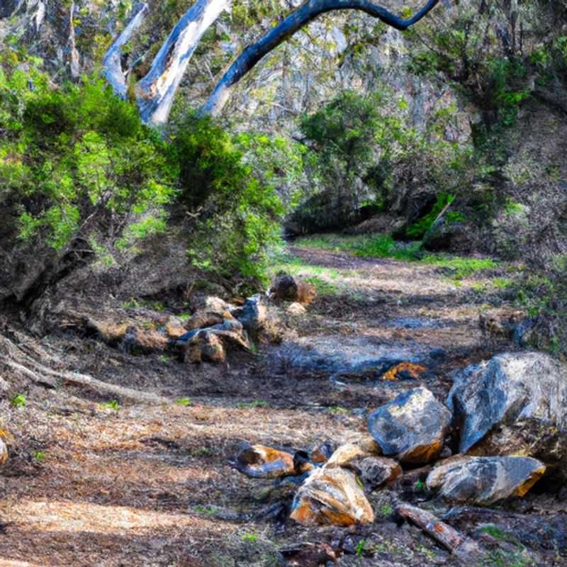 Albany at the Bibbulmun Track&#58; A Winter Wonderland Paradise