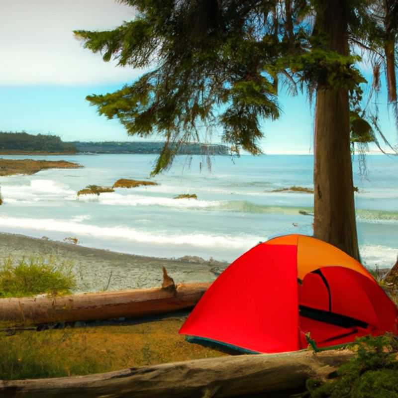 Winter Wonderland&#58; Embark on an Unforgettable Trek Along the Juan de Fuca Trail