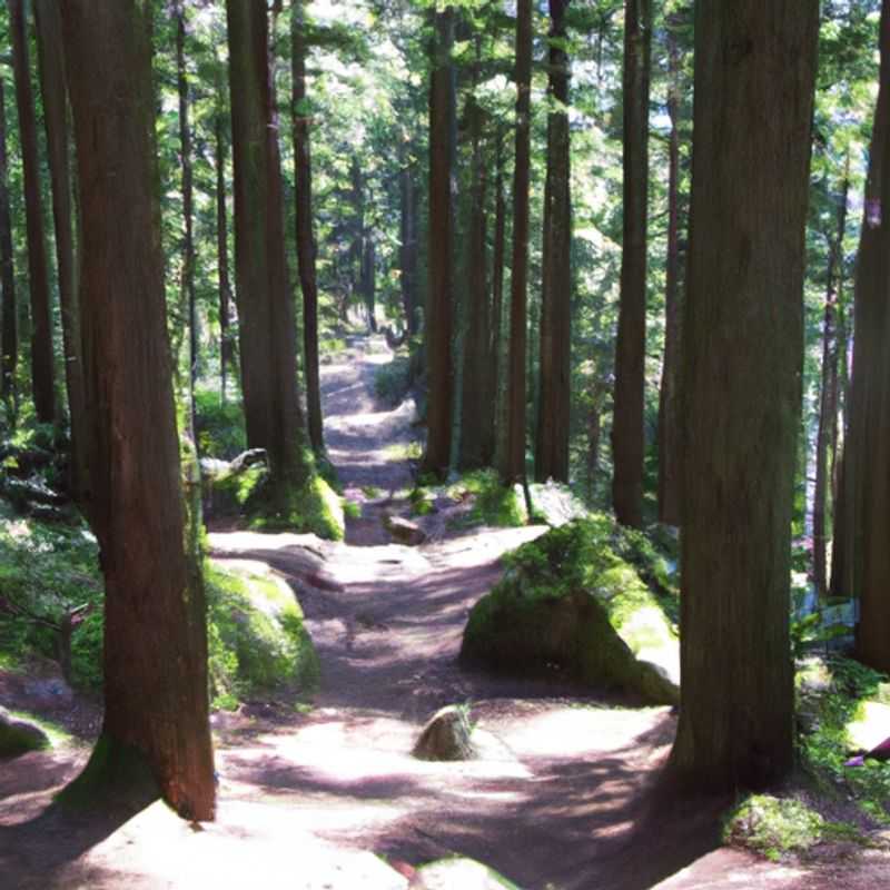 A spirited group of six intrepid hikers tackle the challenging Grouse Grind trail in Vancouver, Canada, during the vibrant hues of fall, embarking on a 24-hour adventure filled with camaraderie, breathtaking views, and the undeniable triumph of reaching the summit.