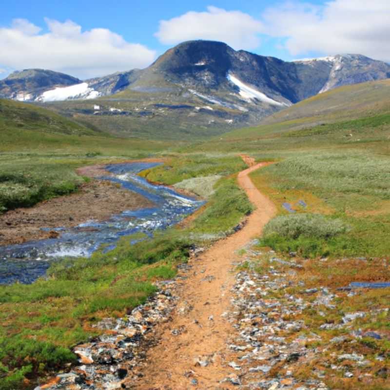 Quatre amis en randonnée sur le célèbre Kungsleden en Suède, profitant de la splendeur printanière des montagnes enneigées et des forêts verdoyantes lors de leur excursion de quatre jours.