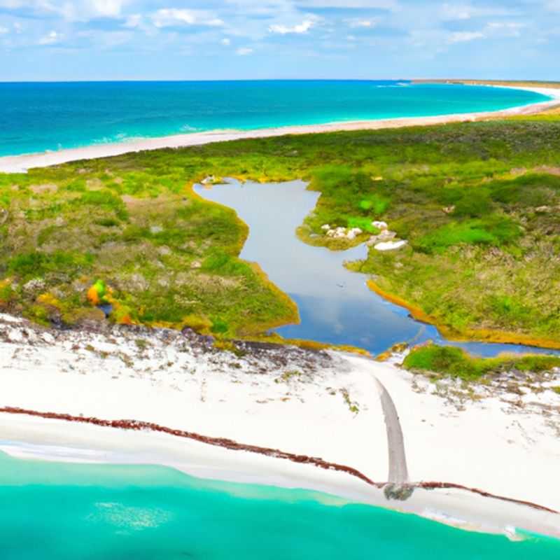 Mysteries and Mayan Marvels: Solving the Enigmas of Tulum's Ancient Ruins in the Fall