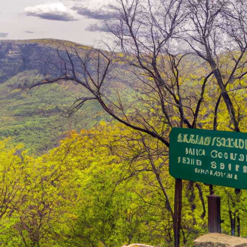 A solitary figure stands atop Bear Mountain, surrounded by the vibrant hues of autumn foliage, taking in the breathtaking panorama of the Hudson River Valley below. This image captures the essence of a solo traveler's journey through the enchanting Bear Mountain Loop, a haven for outdoor enthusiasts seeking serenity and connection with nature.