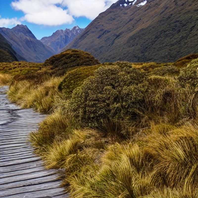 Routeburn Track au printemps : Budget vacances serré ? Pas de problème !<h3>Le Routeburn Track en vacances de printemps : Aventure accessible à tous les portefeuilles</h3><h3>Sac à dos et budget limité ? Le Routeburn Track au printemps, c'est possible !</h3><h3>Nouvelle-Zélande, printemps rime avec prix doux : Explorez le Routeburn Track sans vous ruiner !</h3><h3>Routeburn Track : Aventure accessible, même avec un budget étudiant ! (Printemps)</h3><h3>Randonnée épique, prix mini : Le Routeburn Track au printemps, une aubaine !</h3>