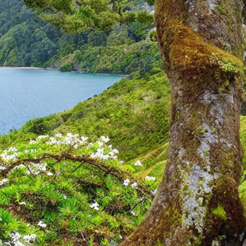 Le Queen Charlotte Track en Nouvelle-Zélande : un printemps d'aventure au grand air ?<h3>Queen Charlotte Track, Nouvelle-Zélande : Randonnée, vélo et sports nautiques au printemps – Avis d'un nomade numérique !</h3><h3>Printemps en Nouvelle-Zélande : Le Queen Charlotte Track vaut-il le détour pour vos vacances ?</h3><h3>Trekking, VTT et kayak au printemps : Mon expérience sur le Queen Charlotte Track</h3><h3>Queen Charlotte Track : L'avis d'un globe-trotter sur ce paradis néo-zélandais au printemps</h3><h3>Nouvelle-Zélande au printemps : Explorez le Queen Charlotte Track – Aventure et rencontres humaines garanties !</h3><h3>Vacances printanières en Nouvelle-Zélande : Le Queen Charlotte Track, une aventure inoubliable ?</h3><h3>Queen Charlotte Track : Randonnées épiques et rencontres mémorables au cœur de la Nouvelle-Zélande</h3>
