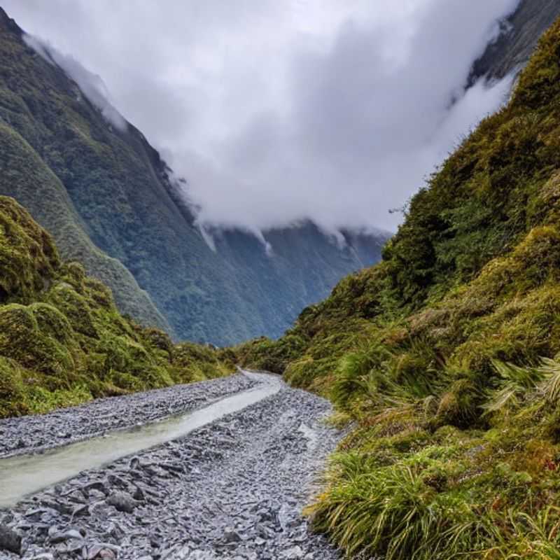 Le Milford Track au printemps : aventure kiwi malgré les fermetures ?<h3>Milford Track en vacances de printemps : Ouvert ou fermé ? On enquête !</h3><h3>Randonnée printanière au Milford Track : Préparez votre escapade malgré les travaux !</h3><h3>Le Milford Track en mars/avril : Aventure néo-zélandaise, mais attention aux surprises !</h3><h3>Milford Track : Spring Break sous le signe de l'imprévu (et de la beauté !)</h3><h3>Partir au Milford Track pendant les vacances de printemps : Infos pratiques et conseils d'un globe-trotter</h3>