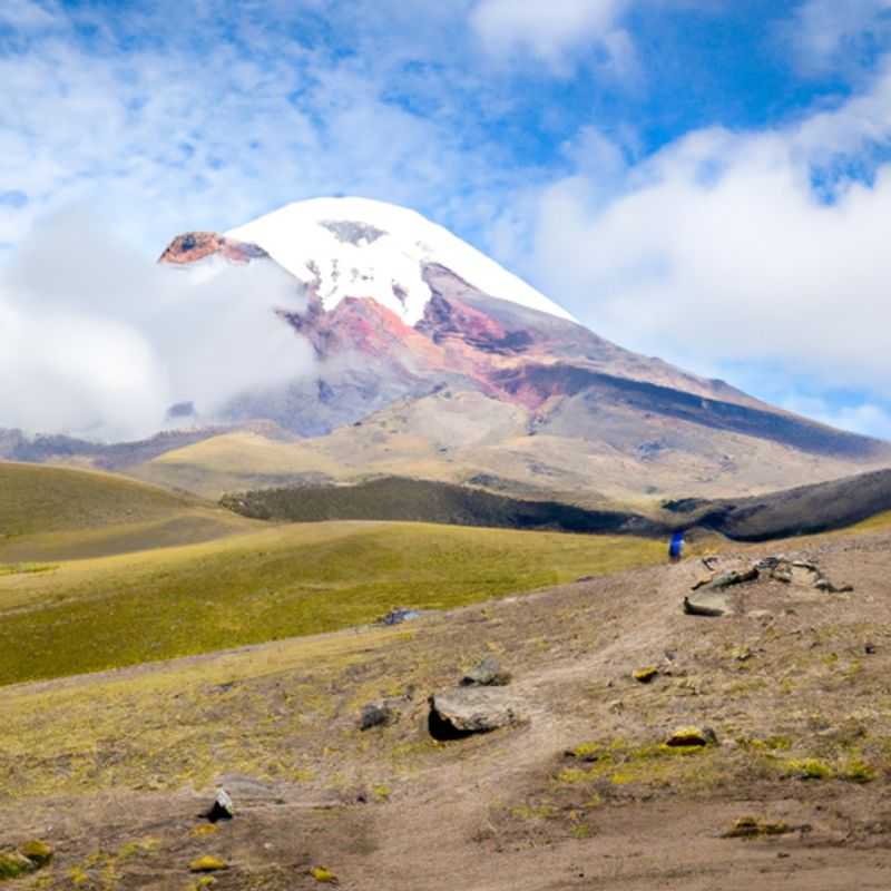 Pasochoa Wildlife Refuge: An Oasis amidst Cotopaxi's Grandeur in Summer Sun
