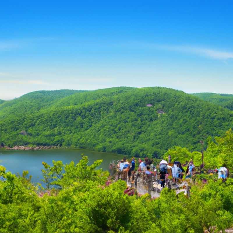 Into the Verdant Heart of Spring&#58; A Wildflower Wonderland at Bear Mountain State Park