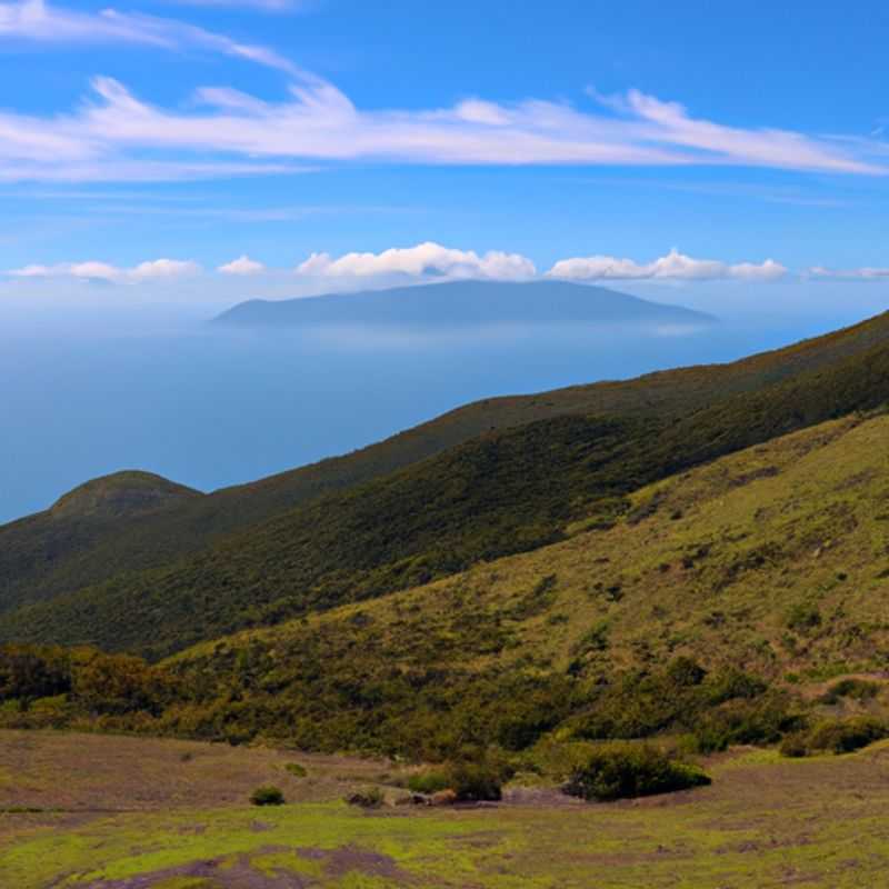 Whale Watching Wonders in the Wintery Wilderness of Kaikoura