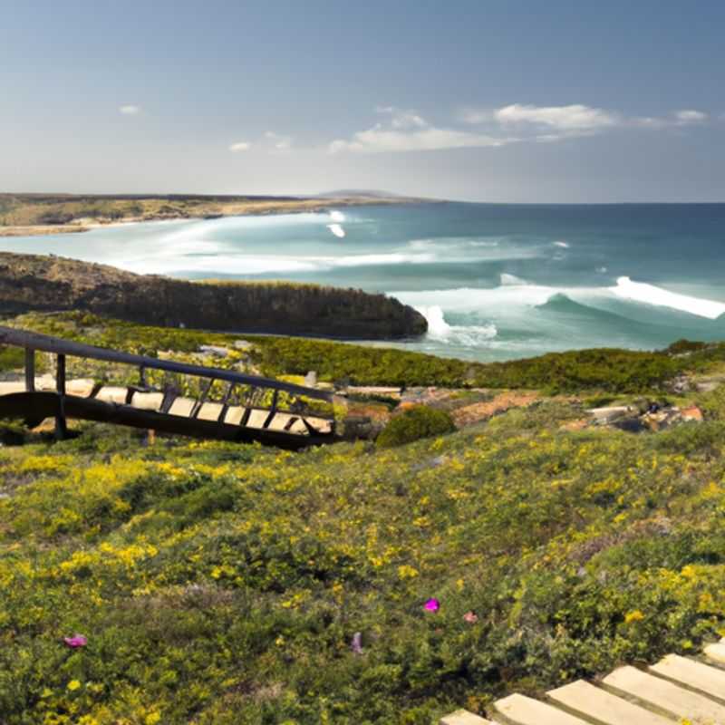 Six companions traversing the mesmerizing Rota Vicentina trail in Portugal during a 5-day winter adventure, surrounded by breathtaking coastal landscapes and vibrant greenery.