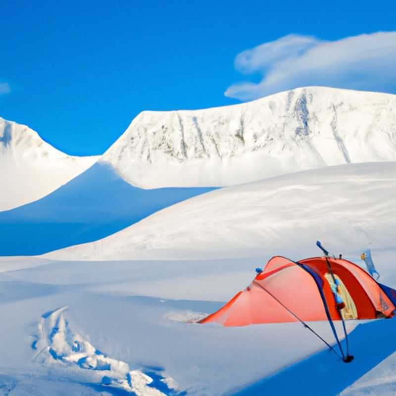 Observation de la faune au Kungsleden au printemps : un spectacle naturel enchanteur