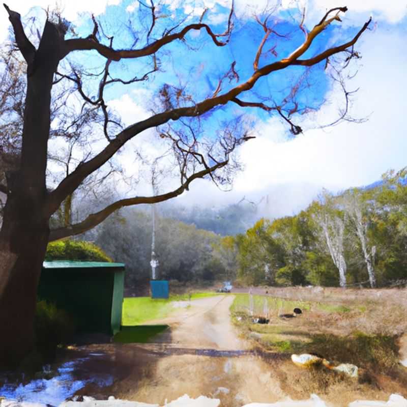 Cuatro nómadas digitales recorren el escarpado y pintoresco Bibbulmun Track en Australia durante dos semanas de aventura invernal, rodeados de la impresionante naturaleza del oeste de Australia.